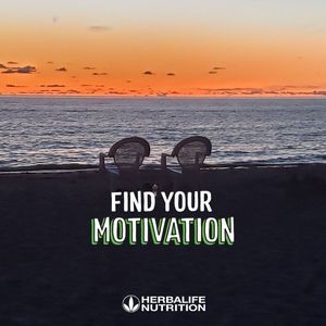 Meet your Posher, Rena